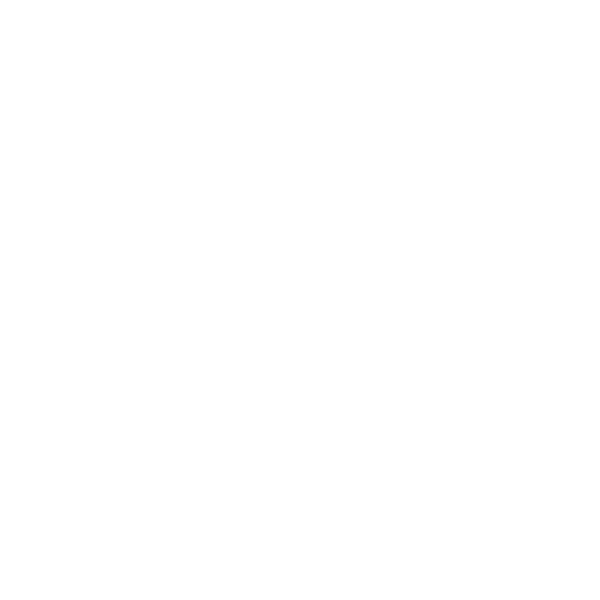 Code icon