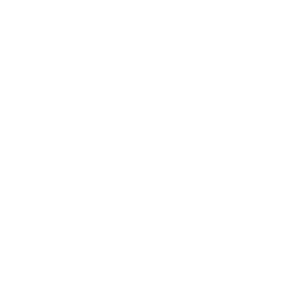 Store icon