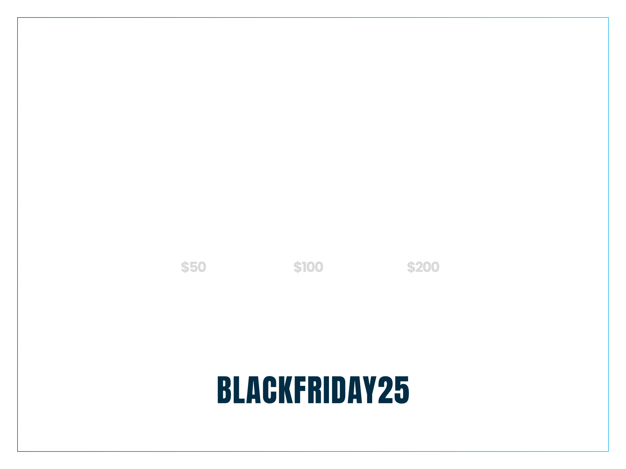 Black Friday Sale