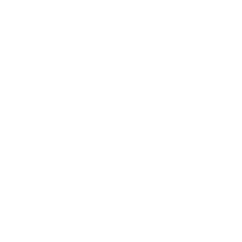 guarantee icon
