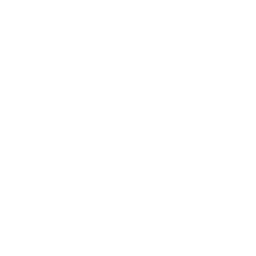 shipping icon
