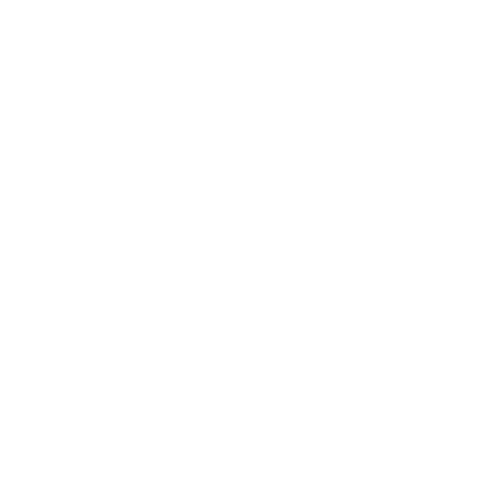 icon-worldwide
