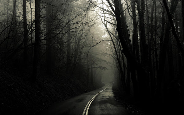 8 Frightening DUI Facts