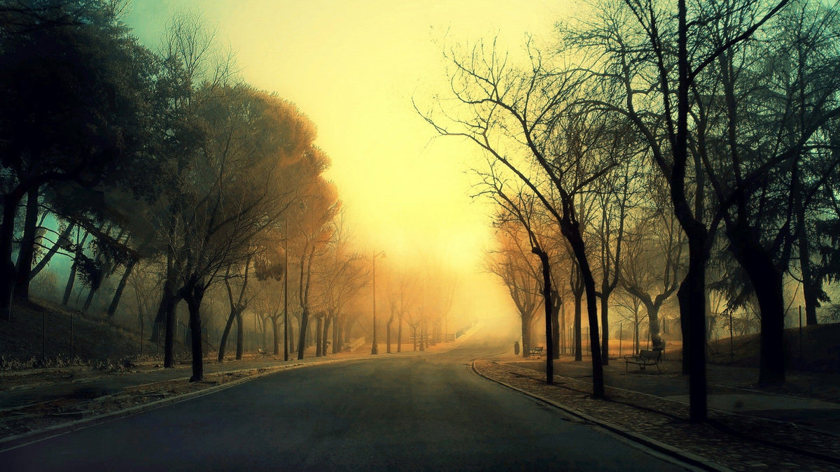 The Most Dangerous Times on the Road